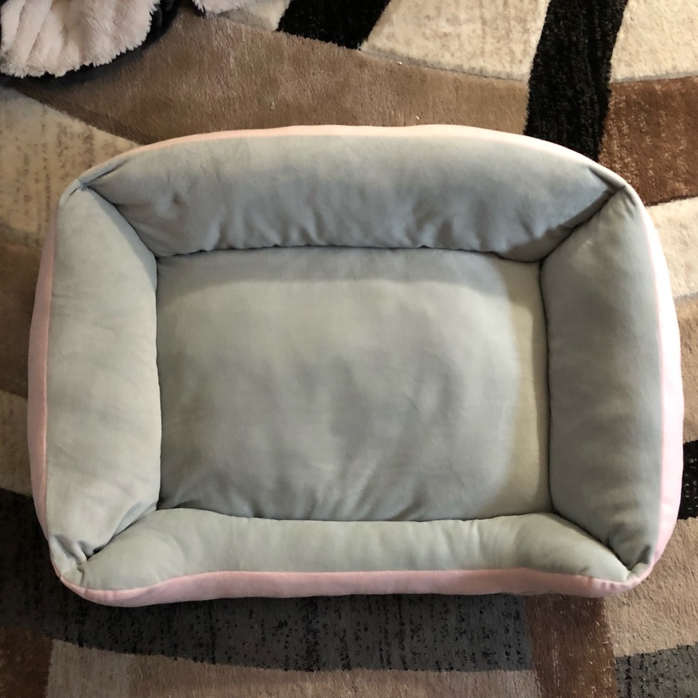 Dog Bed! She is a couch potato and won’t lay in it